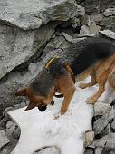 40 prima neve verso il Rifugio Vedrette di Ries